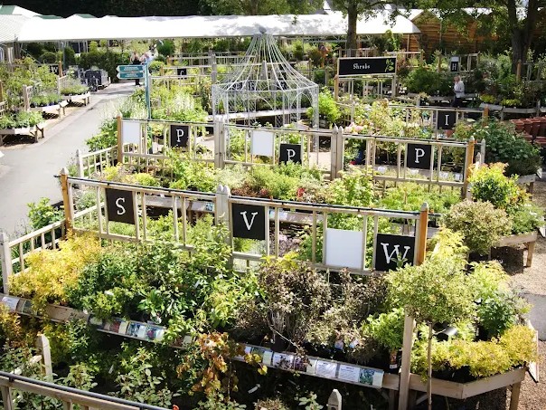 Burford Garden Company