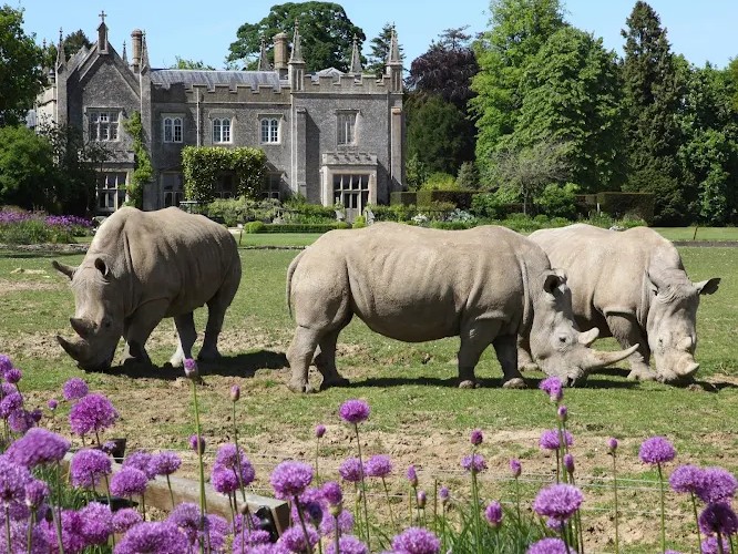 Cotswold Wildlife Park & Gardens