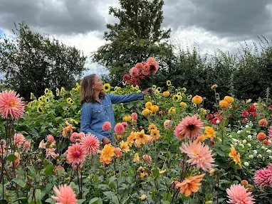 Howe Farm Flowers