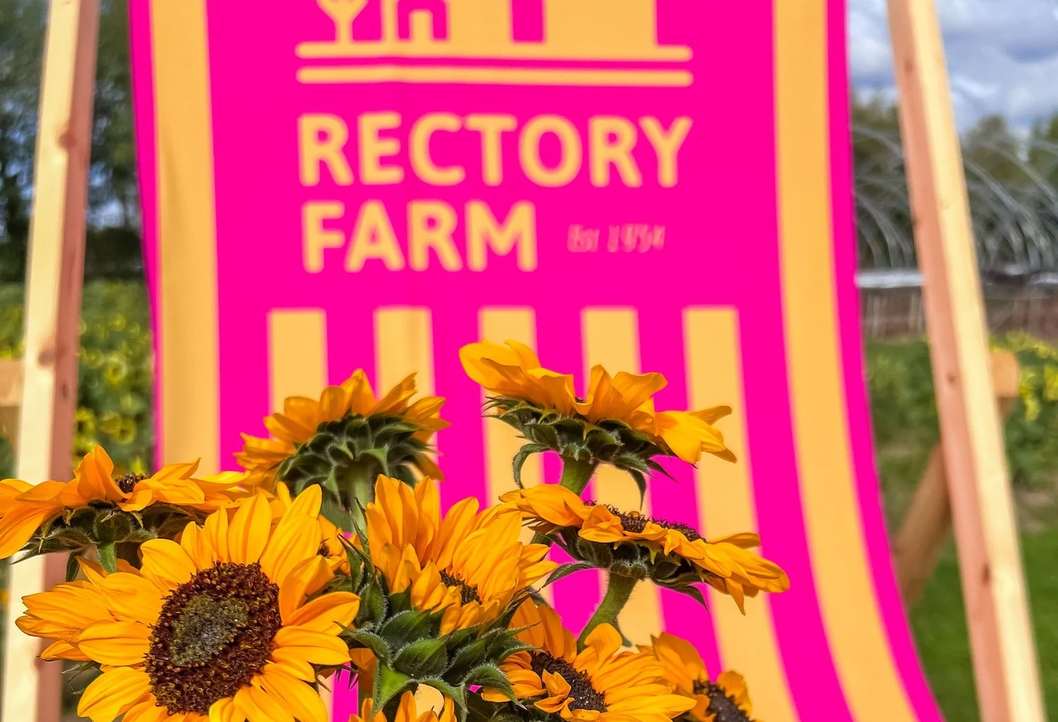 Rectory Farm PYO