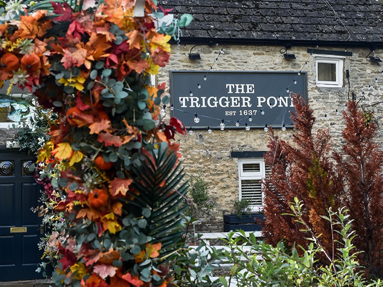 The Trigger Pond