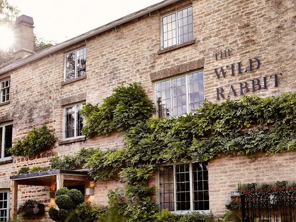 The Wild Rabbit