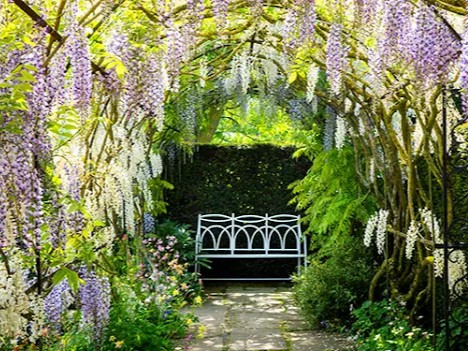 Waterperry Gardens